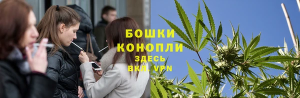 крисы Медногорск