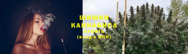 прущие грибы Кирсанов