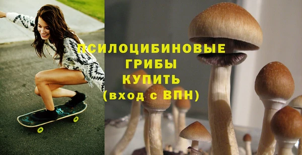 ешки Михайловск